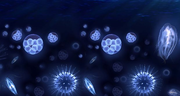 G4S-Ballast-Water-Forum-skin-2016_11-620x330