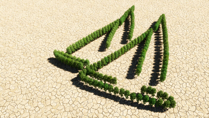 Concept,Or,Conceptual,Group,Of,Green,Forest,Tree,On,Dry