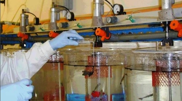 EMSA-dispersants-594x330