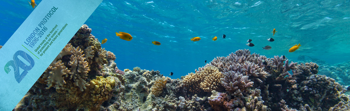 Underwater coral reef